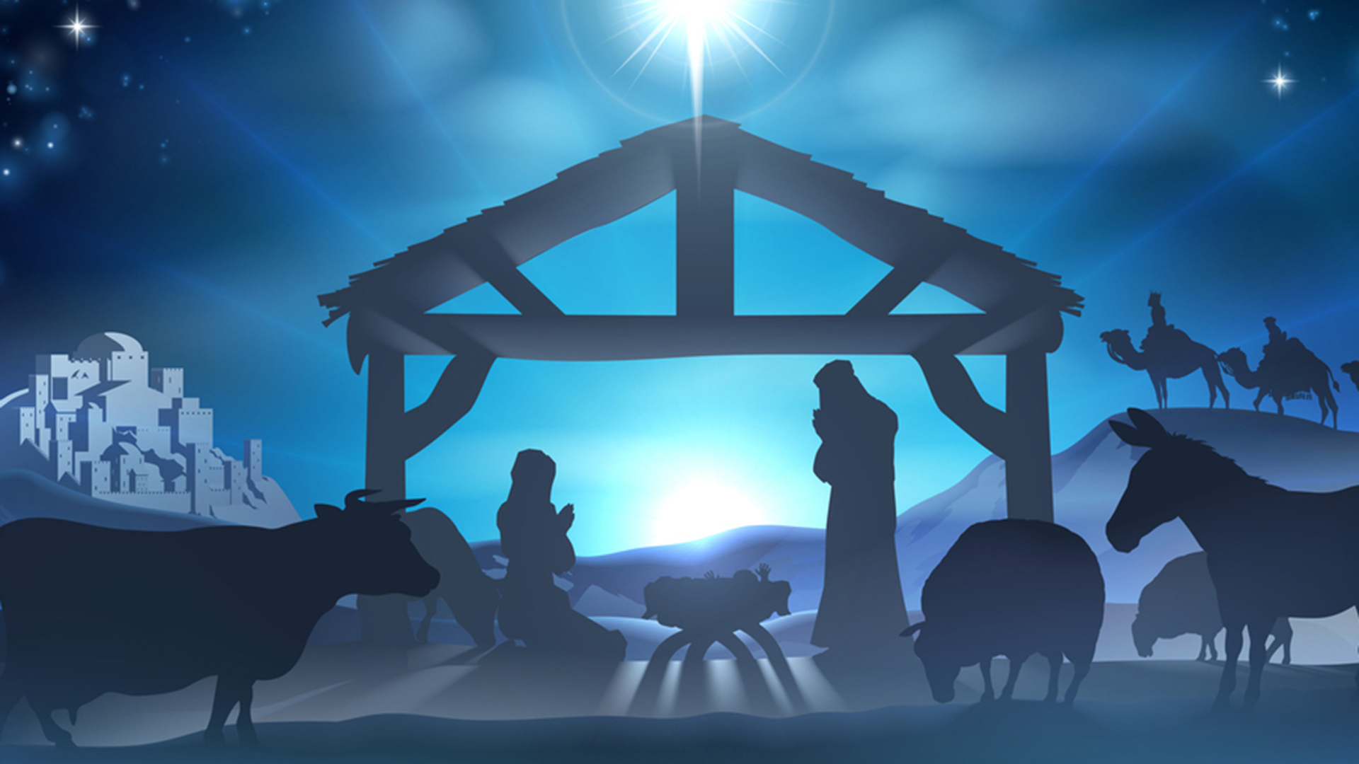 Bild zu Veranstaltung Der Weihnachtsstern