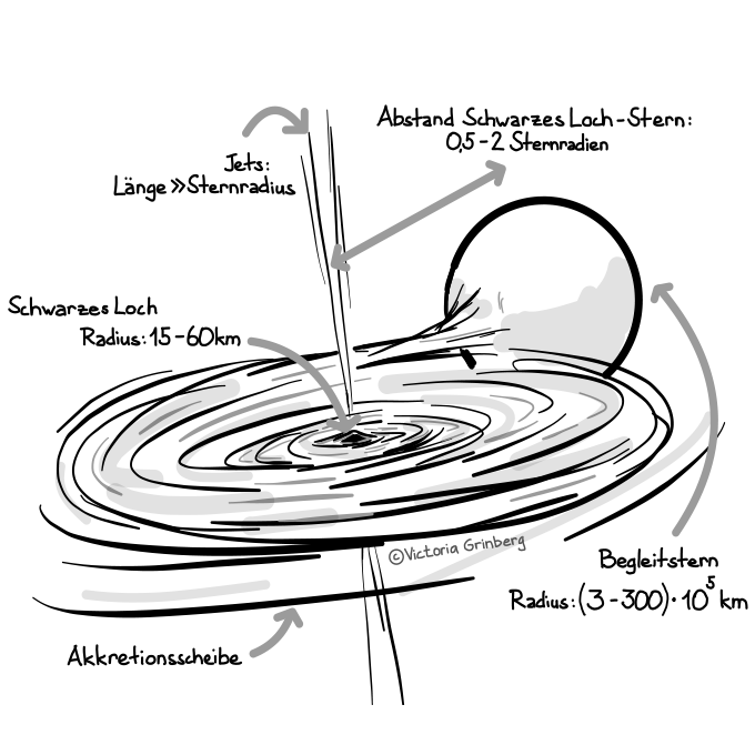 Eine Illustration / Zeichnung zeigt die Skizze der Funktion v. Schwarzen Löchern